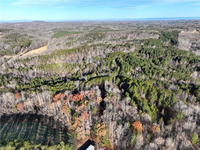 Lot 2- 0 Bowen Rd, Home with 0 bedrooms, 0 bathrooms and null parking in Pinnacle NC | Image 6