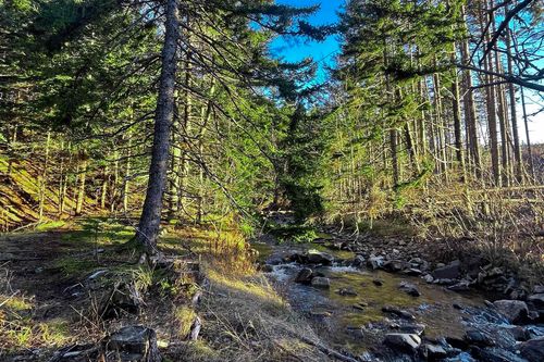 Lot Shore Road E, Mount Hanley, NS, B0S1P0 | Card Image
