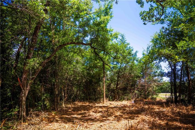 View of wooded area | Image 6