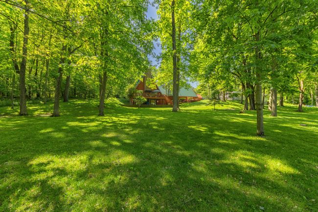 Back yard on the St. Joe River #3. | Image 31