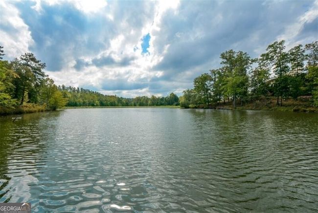 405 Laurel Spring Ct, House other with 4 bedrooms, 3 bathrooms and null parking in Canton GA | Image 73