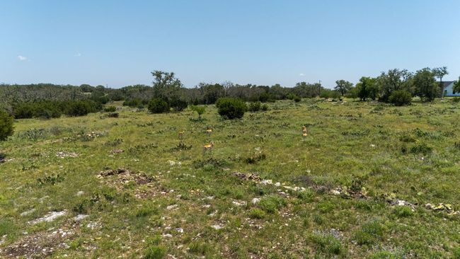 View of nature | Image 10