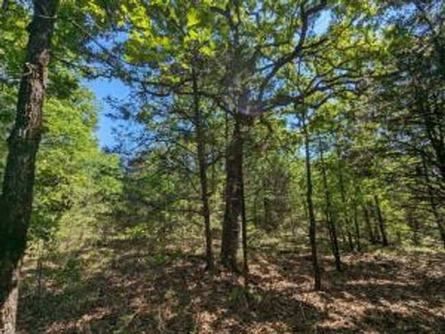 TBD 7A Spring Creek Trail, Home with 0 bedrooms, 0 bathrooms and null parking in Cecil AR | Image 4