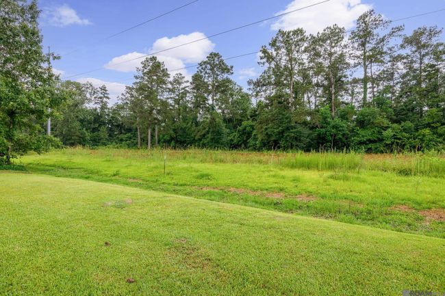 15364 Carlou Dr, House other with 4 bedrooms, 3 bathrooms and 4 parking in Ponchatoula LA | Image 32