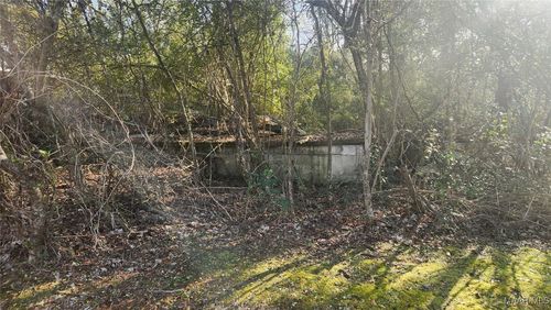00 Simpson St, TUSKEGEE INSTITUTE, AL, 36088 | Card Image
