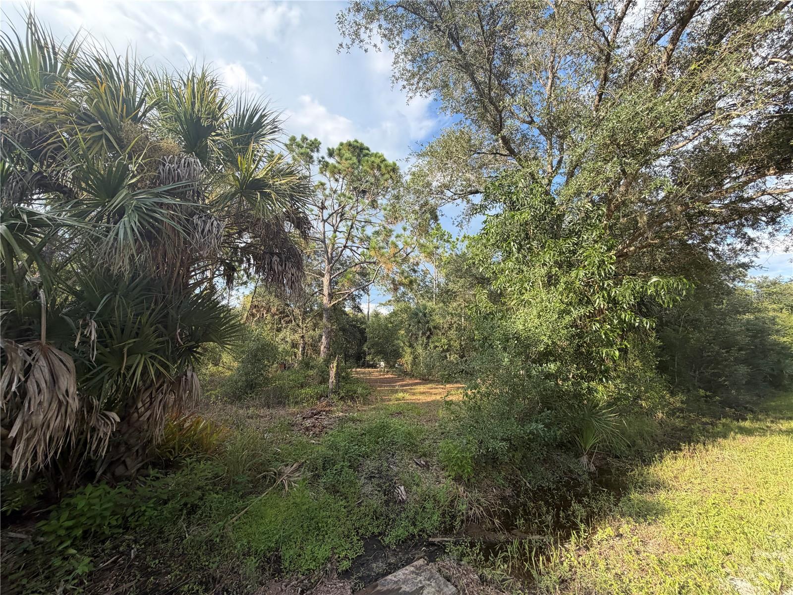 Land in PUNTA GORDA