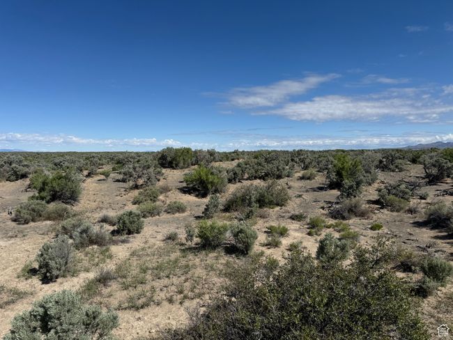 View of local wilderness with a desert landscape | Image 4