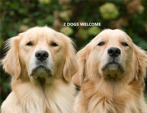 201-893 Hockley Ave, Langford, BC, V9B2V8 | Card Image