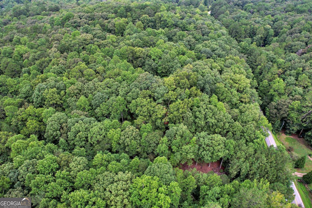 Land in Douglasville 2