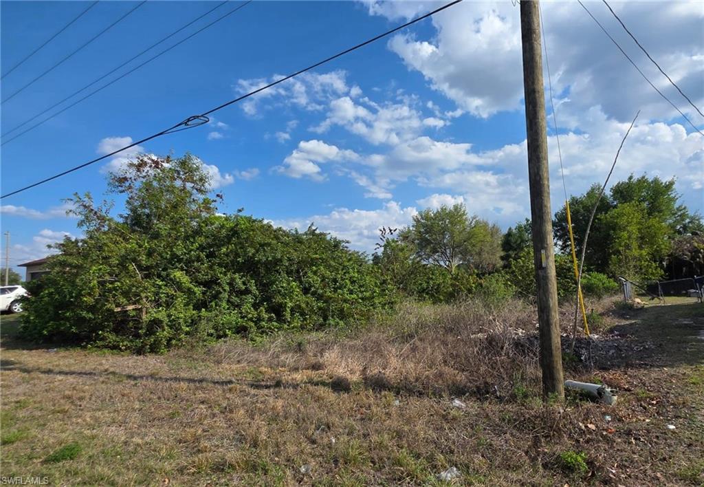 Land in LEHIGH ACRES 3