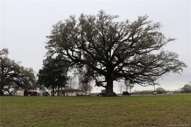0 Highway 347, Home with 0 bedrooms, 0 bathrooms and null parking in Arnaudville LA | Image 23