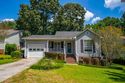 128 Firebridge Dr, Chapin, SC, 29036-7875 | Card Image