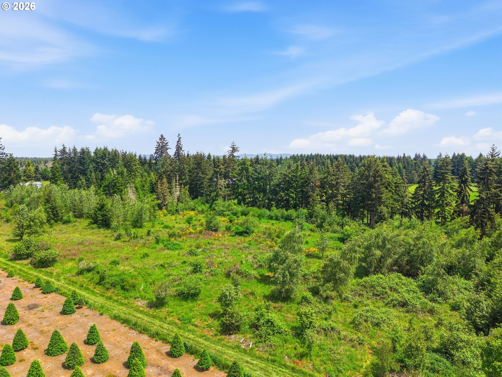 Land in Winlock 5
