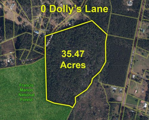 0 Dollys Ln, Jamestown, SC, 29453 | Card Image