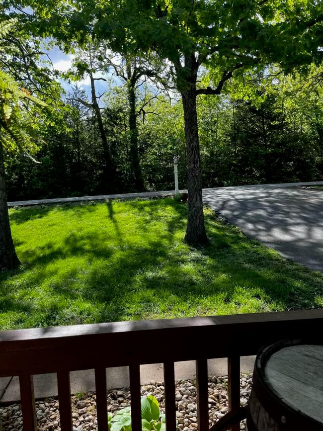 Front View | Image 59