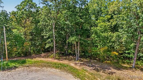 23 Turning Leaf Ln, Foley, MO, 63347-2728 | Card Image