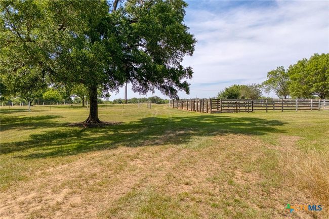 Corral and mature trees | Image 7