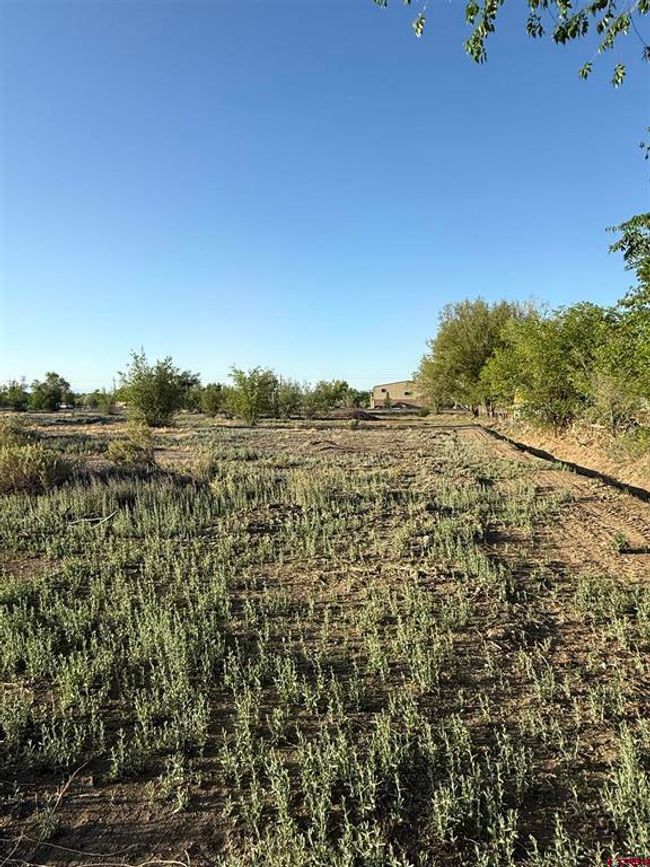 1475 And Tbd Highway 50, Home with 0 bedrooms, 0 bathrooms and null parking in Delta CO | Image 8