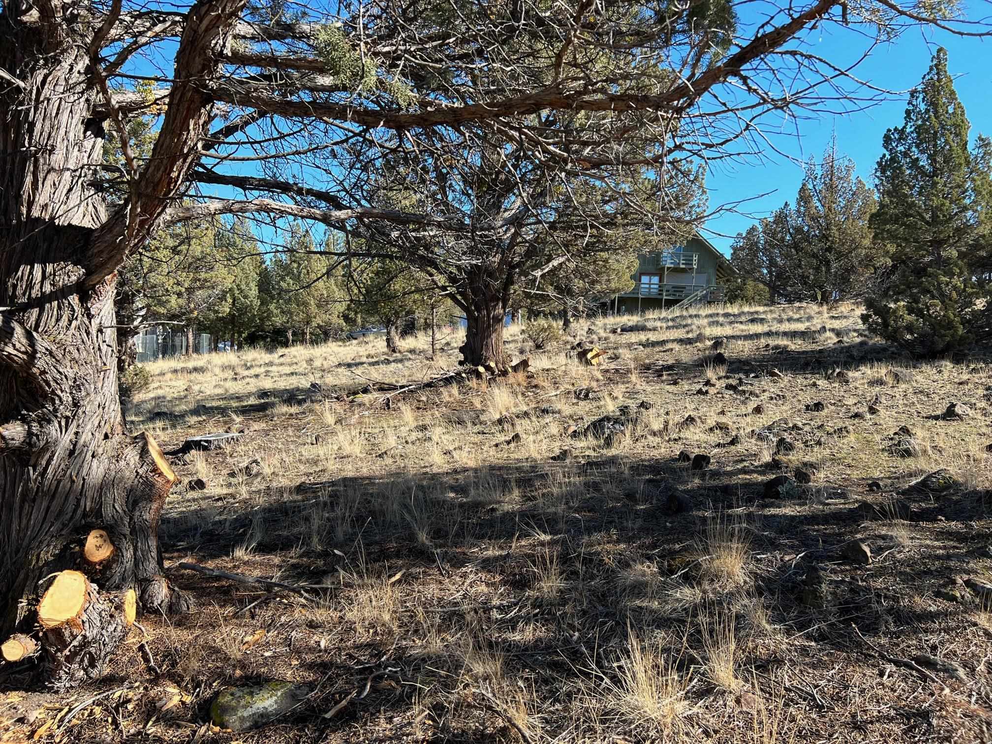 Land in Weed 3