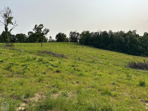 1 Marion County 5014, Everton, AR, 72633 | Card Image