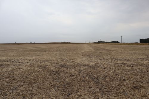 21111 550 East St, Sheffield, IL, 61361 | Card Image