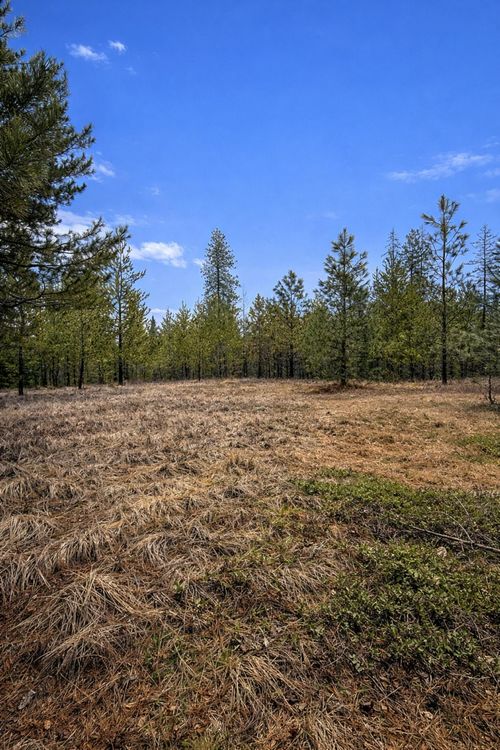 1420 Driskill Rd, Newport, WA, 99156 | Card Image