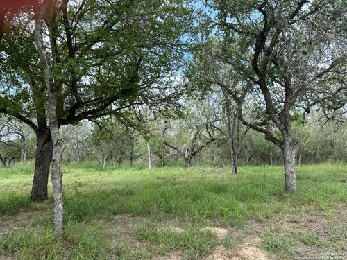 20588 S State Highway 16, Atascosa, TX, 78002 | Card Image