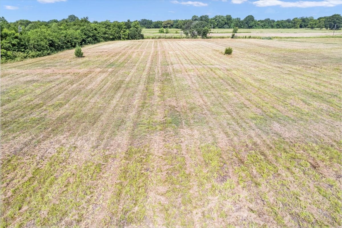 Land in Greenville 5