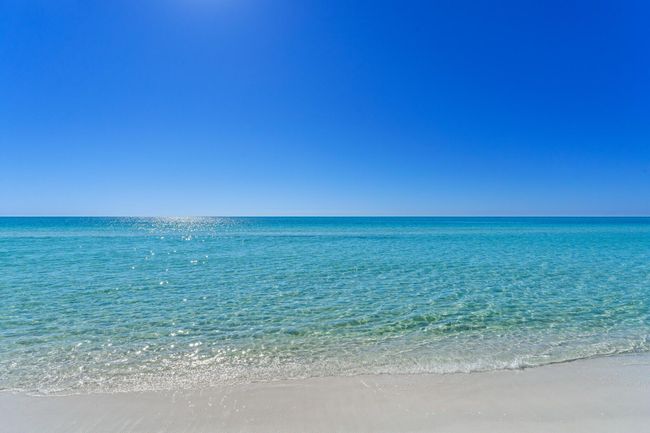 Beautiful Gulf Waters | Image 39