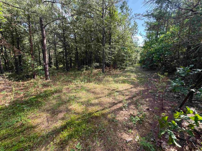 00 Calico Rd, Home with 0 bedrooms, 0 bathrooms and null parking in Clinton AR | Image 40