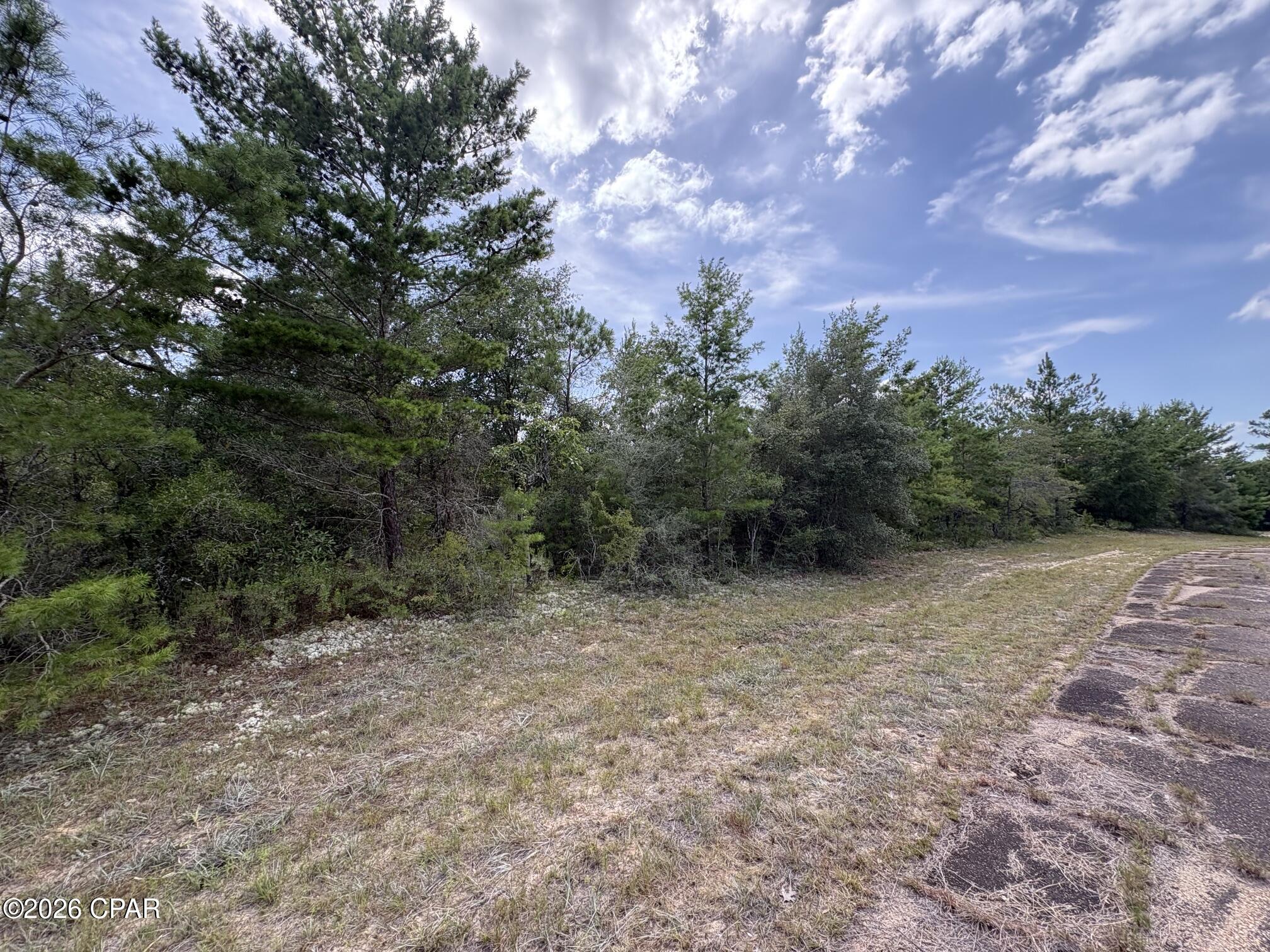 Land in Chipley 3