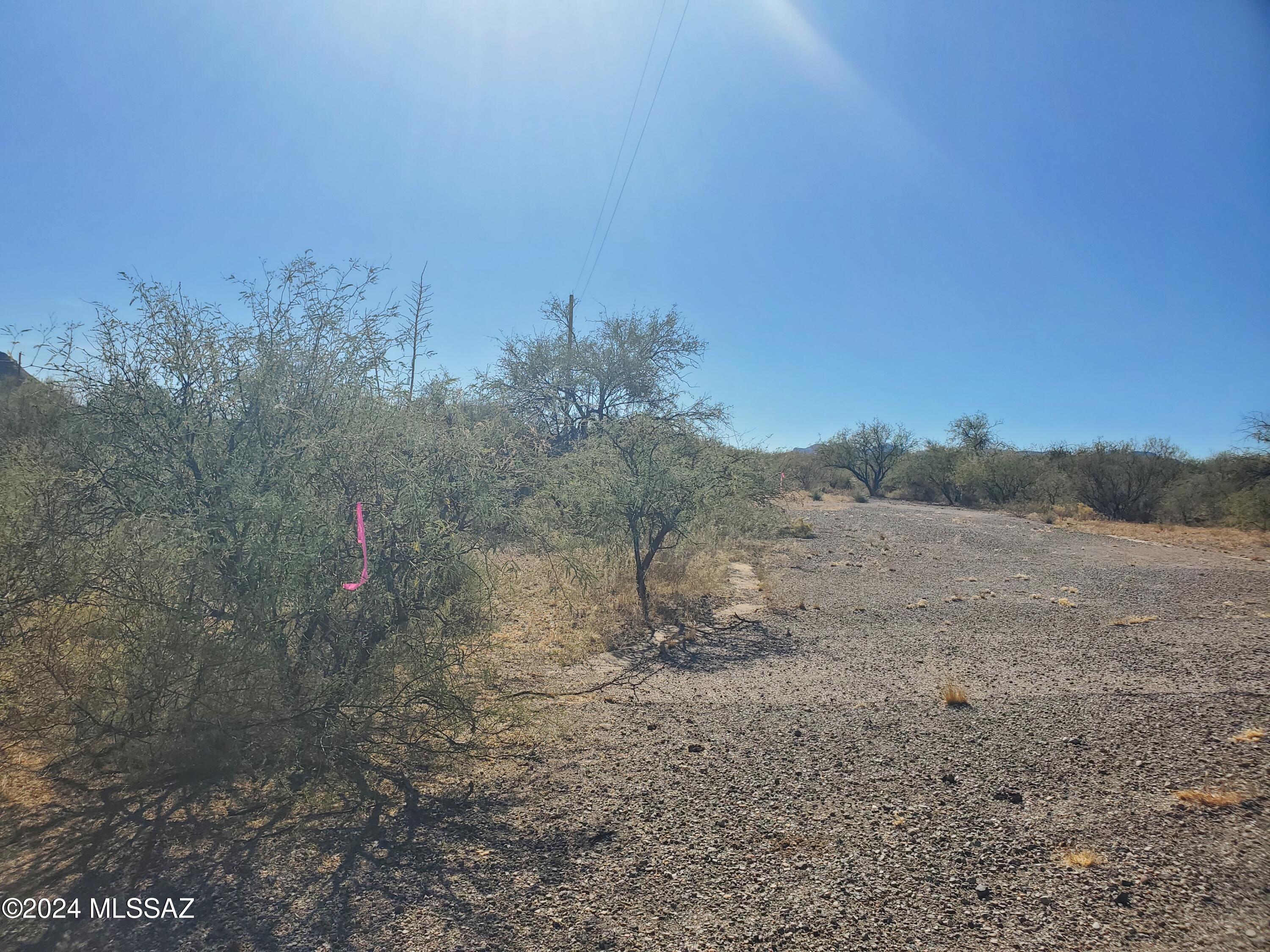 Land in Rio Rico 5