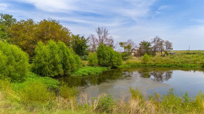 Small Pond | Image 4