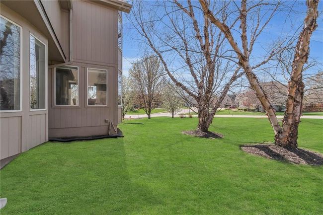 Grass has been edited | Image 37