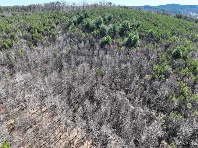 30.19 Acres (Off Of) Belvedere Dr, Home with 0 bedrooms, 0 bathrooms and null parking in Fieldale VA | Image 21
