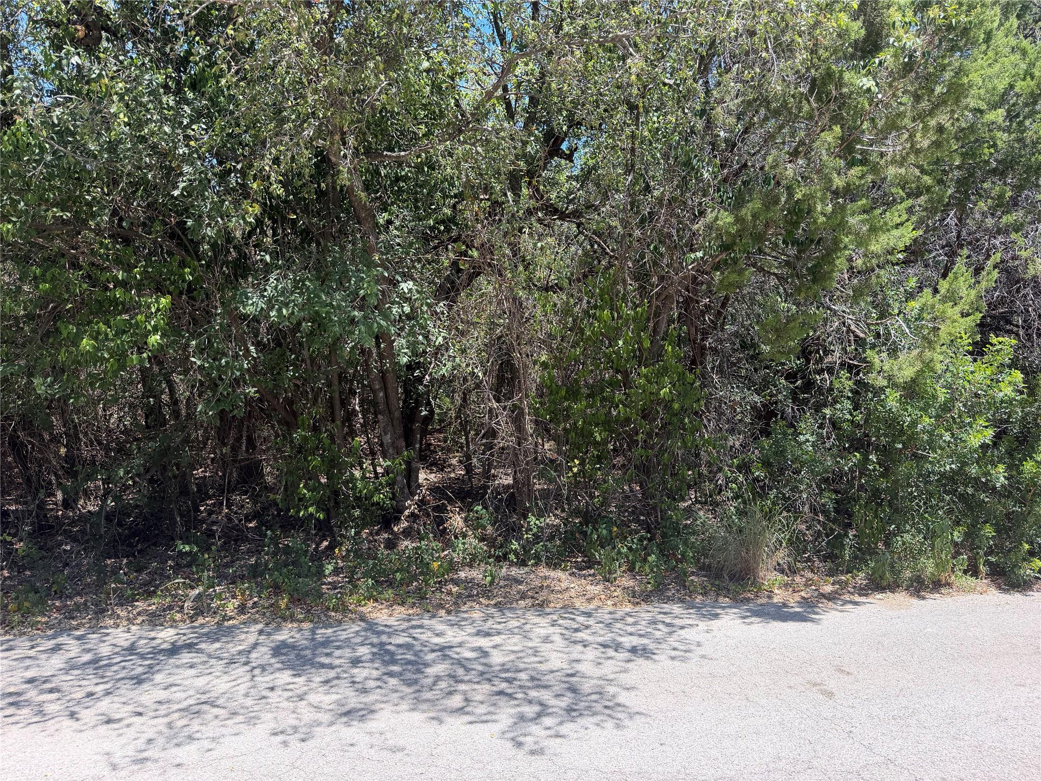 Land in Austin 4