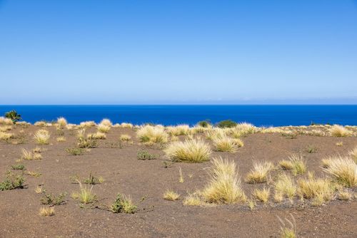 62-6043 Amaui Lani Pl, KAMUELA, HI, 96743-7847 | Card Image