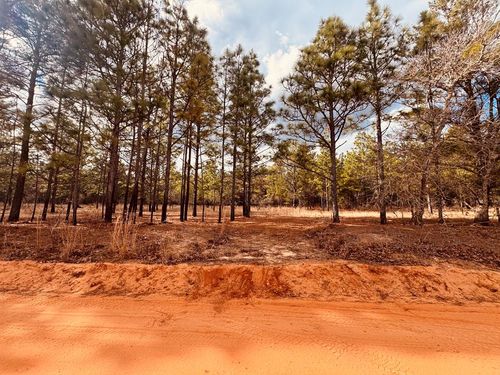 0 Simmons Rd, Mauk, GA, 31058 | Card Image