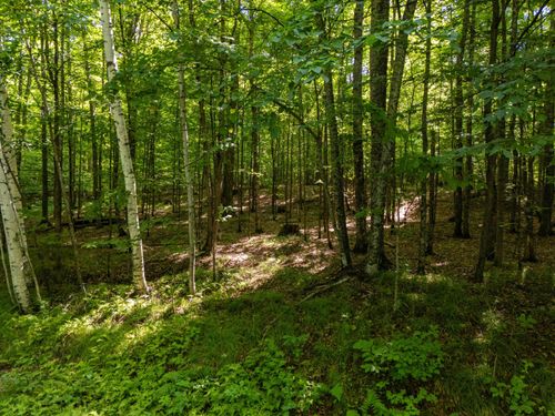 Lot 6 Smoky Lake Dr, Iron River, MI, 49935 | Card Image