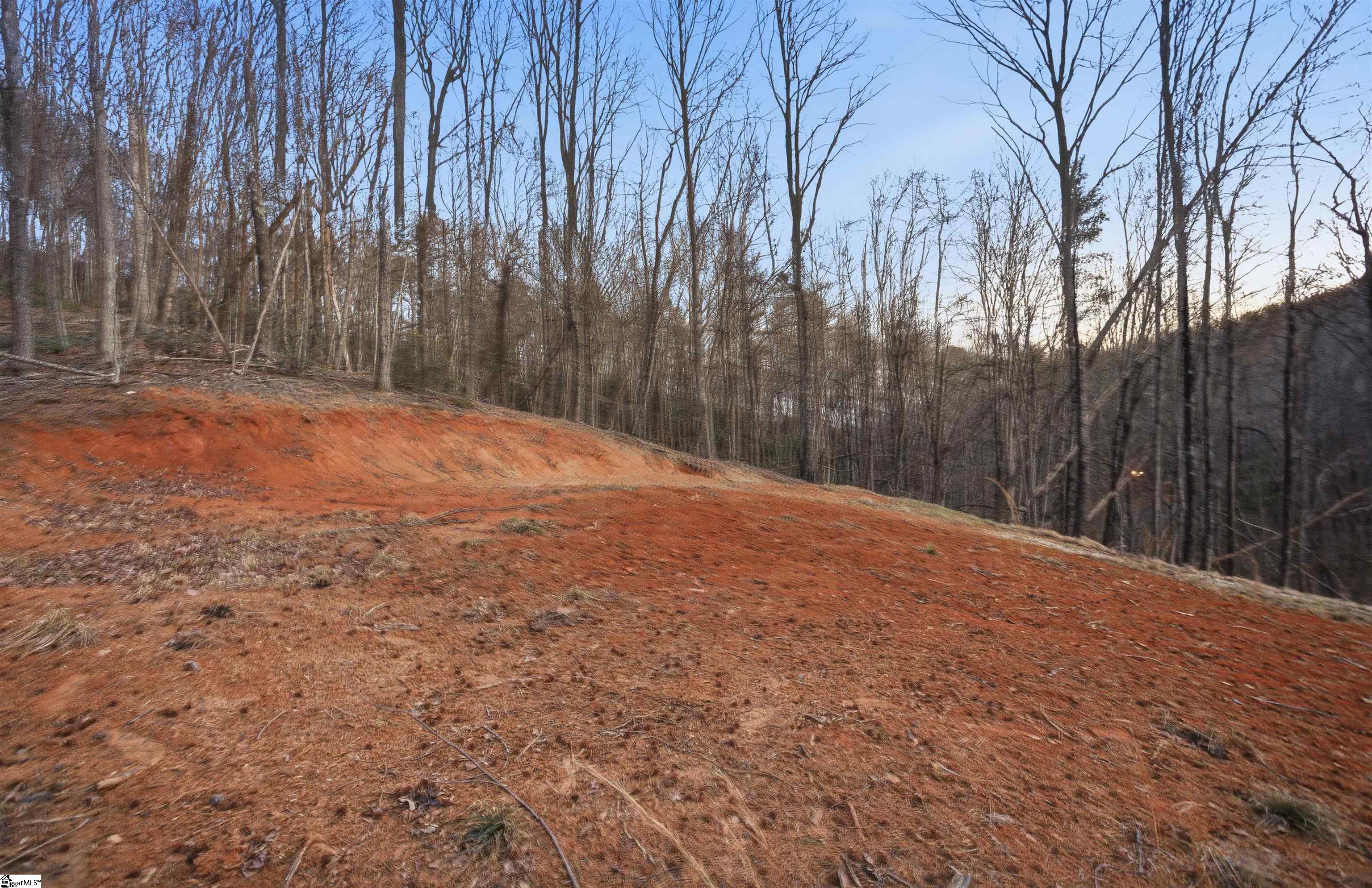 Land in Landrum 4