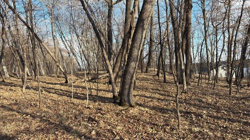 495XX Fish Lake Rd, Pelican Rapids, MN, 56572 | Card Image