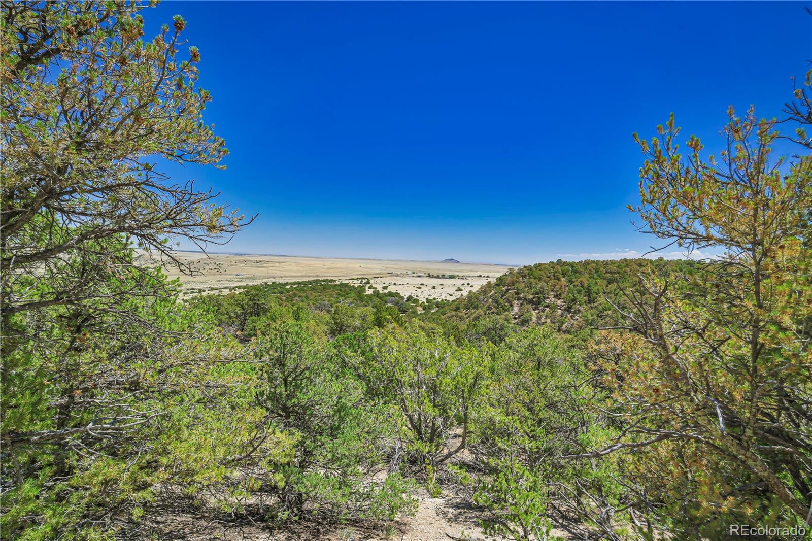 Land in Aguilar 4
