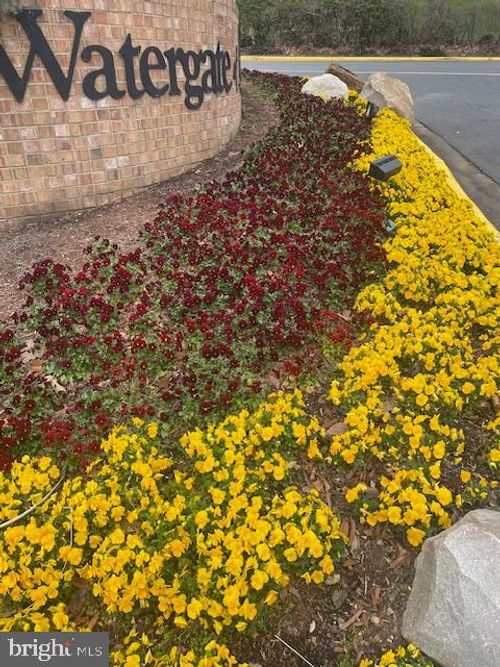 1806-309 Yoakum Parkway, ALEXANDRIA, VA, 22304 | Card Image