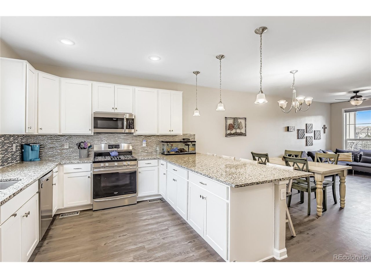 Residential in Castle Rock 2