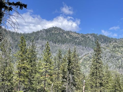 1790 Wintu Pass Rd, Junction City, CA, 96048 | Card Image