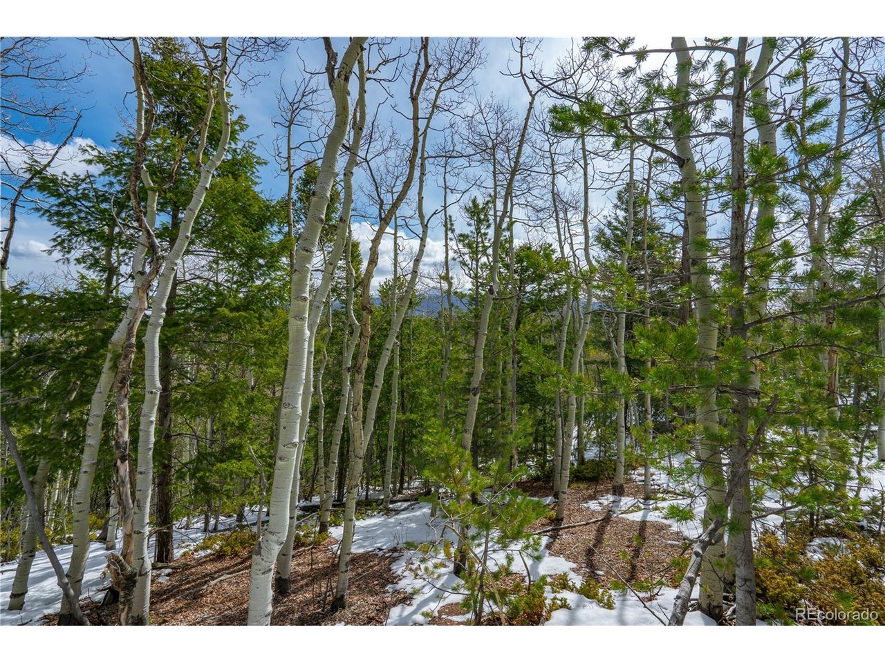 Land in Cripple Creek 3