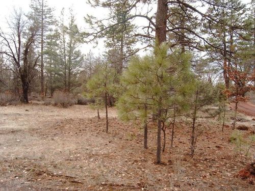 000 Big Lake Rd, Mcarthur, CA, 96056 | Card Image