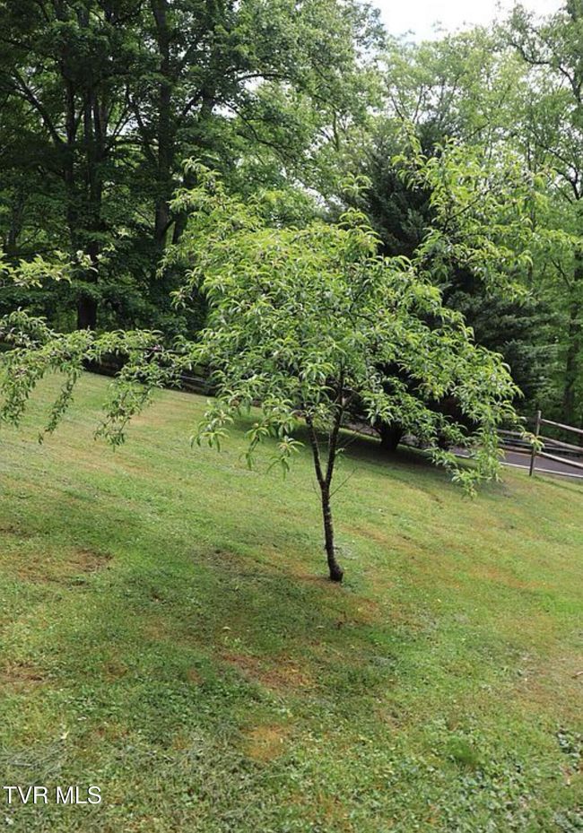 3219 Dungannon Rd, House other with 3 bedrooms, 3 bathrooms and null parking in Coeburn VA | Image 64