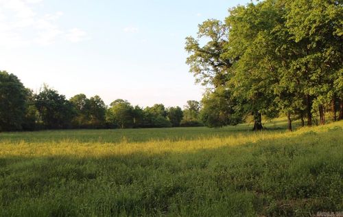 299 Harmony Ln, Amity, AR, 71921-9154 | Card Image