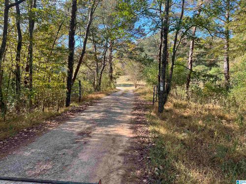 20-359 County Road 511, Hanceville, AL, 35077-7742 | Card Image